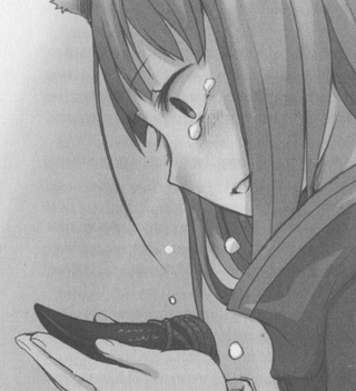 Illustration for article titled Spice & Wolf Vol. 15: The Coin of the Sun I - Light Novel Review